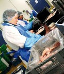 Praca Niemcy bez znajomości języka przy pakowaniu mięsa na taśmie Berlin