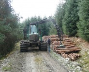 Od zaraz sezonowa praca w Niemczech w leśnictwie dla Polaków Erfurt