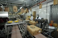 Oferta pracy w Niemczech pakowanie mięsa drobiowego bez znajomości języka w przetwórni Bawaria