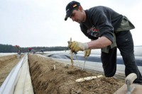 Bez znajomości języka sezonowa praca Niemcy przy zbiorach szparagów Berlin