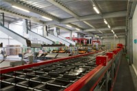 Niemcy praca fizyczna od zaraz przy sortowaniu warzyw bez języka Monachium Niemcy praca fizyczna od zaraz przy sortowaniu warzyw bez języka Monachium