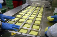 Niemcy praca przy pakowaniu sera bez znajomości języka Hamburg od zaraz