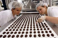 Oferta pracy w Niemczech pakowanie czekoladek bez znajomości języka Berlin