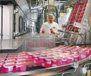 Kolonia bez znajomości języka praca Niemcy na produkcji jogurtów od zaraz