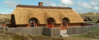 Praca w Niemczech dla dekarza na budowie przy dachach trzcinowych i remontach
