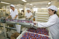 Ogłoszenie pracy w Niemczech od zaraz bez znajomości języka produkcja słodyczy