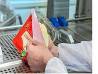 Praca w Niemczech pakowanie sera od zaraz bez znajomości języka Darmstadt