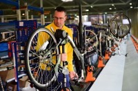 Oferta pracy w Niemczech Ulm od zaraz na produkcji rowerów bez języka