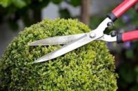 Od zaraz dam fizyczną pracę w Niemczech przy urządzaniu ogrodów Ravensburg