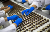 Od zaraz praca w Niemczech bez znajomości języka przy pakowaniu czekoladek w fabryce