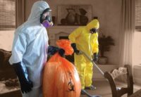 Dam pracę w Niemczech bez znajomości języka sprzątanie po zgonach Berlin 2020