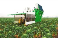 Bez języka dam sezonową pracę w Niemczech od zaraz przy zbiorach brukselki Berlin 2020 Bez języka dam sezonową pracę w Niemczech od zaraz przy zbiorach brukselki Berlin 2020