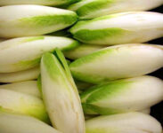 Od zaraz sezonowa praca w Niemczech bez języka przy zbiorach cykorii Lipsk 2020 Od zaraz sezonowa praca w Niemczech bez języka przy zbiorach cykorii Lipsk 2020