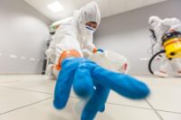 Sprzątanie po zgonach od zaraz dam pracę w Niemczech bez języka w Berlinie Sprzątanie po zgonach od zaraz dam pracę w Niemczech bez języka w Berlinie