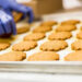 produkcja i pakowanie ciastek 2018