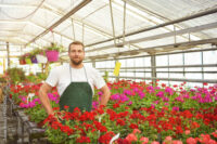 Ogrodnictwo sezonowa praca w Niemczech bez języka od zaraz przy kwiatach w Kempen