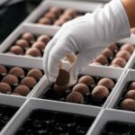 Dla par od zaraz oferta pracy w Niemczech pakowanie pralinek bez języka, Saalfeld/Saale