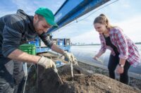 Sezonowa praca Niemcy przy zbiorach szparagów od zaraz bez języka, Lübbenau 2024