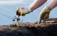 Od zaraz bez języka dam sezonową pracę w Niemczech zbiory szparagów 2024 w Lübbenau Od zaraz bez języka dam sezonową pracę w Niemczech zbiory szparagów 2024 w Lübbenau