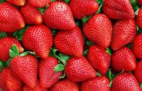 Bez języka dam sezonową pracę w Niemczech zbiory truskawek 2025, Bad Friedrichshall Bez języka dam sezonową pracę w Niemczech zbiory truskawek 2025, Bad Friedrichshall