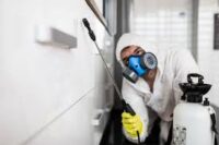 Bez języka od zaraz dam pracę w Niemczech sprzątanie po zgonach polska firma – Berlin