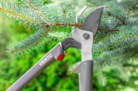 Sezonowa praca Niemcy od zaraz bez języka w leśnictwie ścinanie gałęzi, Euscheid