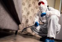 Bez języka dam pracę w Niemczech od zaraz deratyzacje i dezynsekcje w Berlinie Bez języka dam pracę w Niemczech od zaraz deratyzacje i dezynsekcje w Berlinie