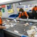 sortowanie surowców wtórnych praca 2026 recykling