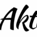 Logo pol-aktiv24 artMa