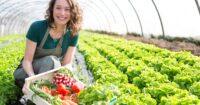 Zbiory warzyw oferta sezonowej pracy w Niemczech bez języka od zaraz, Fürth